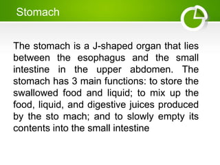 Stomach
The stomach is a J-shaped organ that lies
between the esophagus and the small
intestine in the upper abdomen. The
stomach has 3 main functions: to store the
swallowed food and liquid; to mix up the
food, liquid, and digestive juices produced
by the sto mach; and to slowly empty its
contents into the small intestine
 