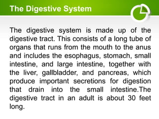 The Digestive System
The digestive system is made up of the
digestive tract. This consists of a long tube of
organs that runs from the mouth to the anus
and includes the esophagus, stomach, small
intestine, and large intestine, together with
the liver, gallbladder, and pancreas, which
produce important secretions for digestion
that drain into the small intestine.The
digestive tract in an adult is about 30 feet
long.
 
