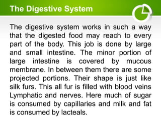 The Digestive System
The digestive system works in such a way
that the digested food may reach to every
part of the body. This job is done by large
and small intestine. The minor portion of
large intestine is covered by mucous
membrane. In between them there are some
projected portions. Their shape is just like
silk furs. This all fur is filled with blood veins
Lymphatic and nerves. Here much of sugar
is consumed by capillaries and milk and fat
is consumed by lacteals.
 
