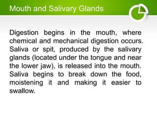 Mouth and Salivary Glands
Digestion begins in the mouth, where
chemical and mechanical digestion occurs.
Saliva or spit, produced by the salivary
glands (located under the tongue and near
the lower jaw), is released into the mouth.
Saliva begins to break down the food,
moistening it and making it easier to
swallow.
 