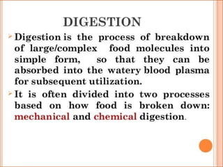Digestive system