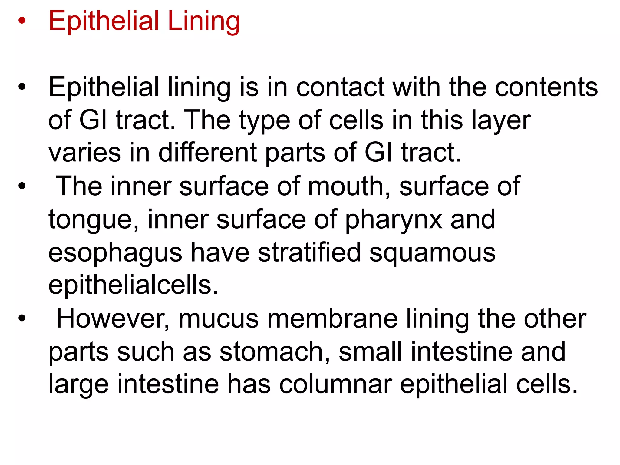 • Epithelial Lining
• Epithelial lining is in contact with the contents
of GI tract. The type of cells in this layer
varies in different parts of GI tract.
• The inner surface of mouth, surface of
tongue, inner surface of pharynx and
esophagus have stratified squamous
epithelialcells.
• However, mucus membrane lining the other
parts such as stomach, small intestine and
large intestine has columnar epithelial cells.
 