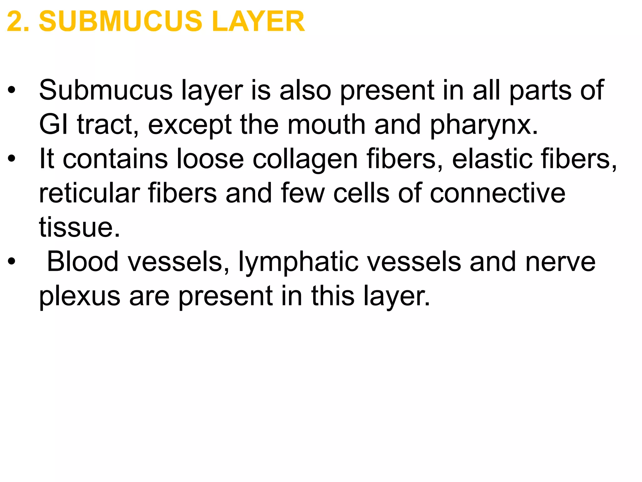 2. SUBMUCUS LAYER
• Submucus layer is also present in all parts of
GI tract, except the mouth and pharynx.
• It contains loose collagen fibers, elastic fibers,
reticular fibers and few cells of connective
tissue.
• Blood vessels, lymphatic vessels and nerve
plexus are present in this layer.
 