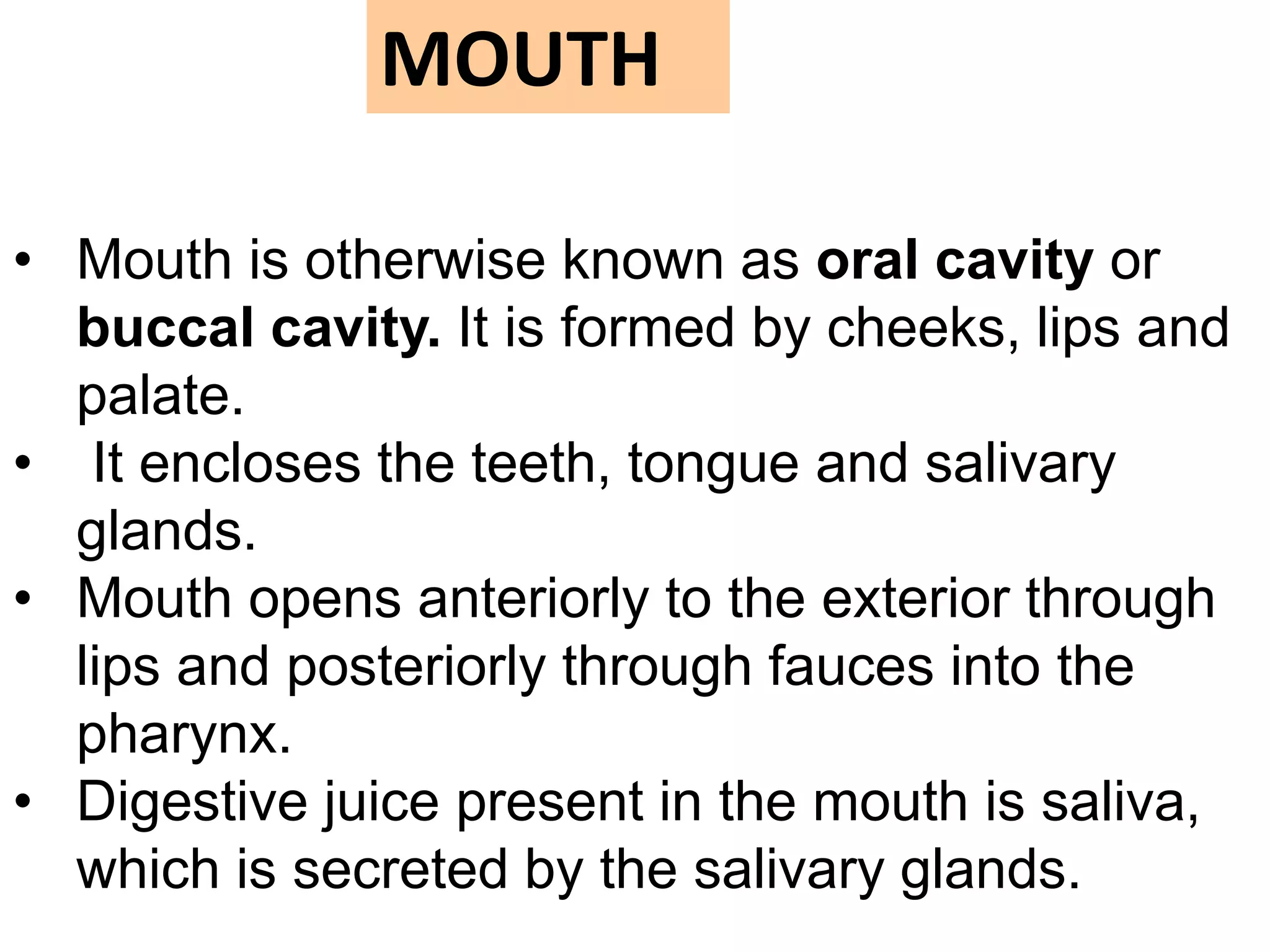• Mouth is otherwise known as oral cavity or
buccal cavity. It is formed by cheeks, lips and
palate.
• It encloses the teeth, tongue and salivary
glands.
• Mouth opens anteriorly to the exterior through
lips and posteriorly through fauces into the
pharynx.
• Digestive juice present in the mouth is saliva,
which is secreted by the salivary glands.
MOUTH
 