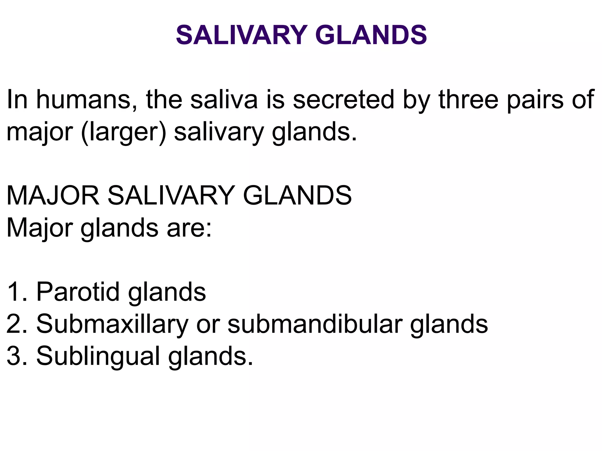 SALIVARY GLANDS
In humans, the saliva is secreted by three pairs of
major (larger) salivary glands.
MAJOR SALIVARY GLANDS
Major glands are:
1. Parotid glands
2. Submaxillary or submandibular glands
3. Sublingual glands.
 