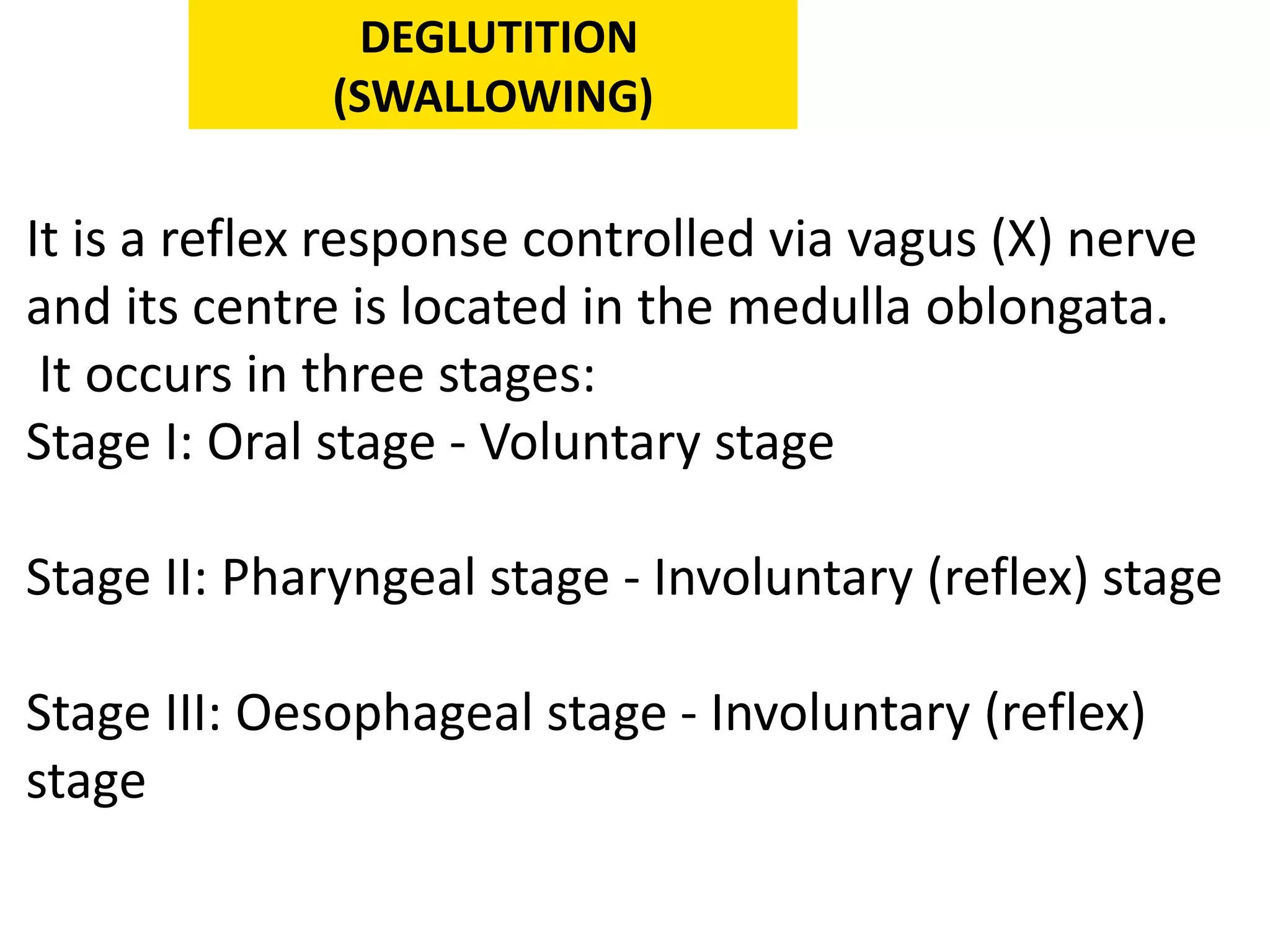It is a reflex response controlled via vagus (X) nerve
and its centre is located in the medulla oblongata.
It occurs in three stages:
Stage I: Oral stage - Voluntary stage
Stage II: Pharyngeal stage - Involuntary (reflex) stage
Stage III: Oesophageal stage - Involuntary (reflex)
stage
DEGLUTITION
(SWALLOWING)
 