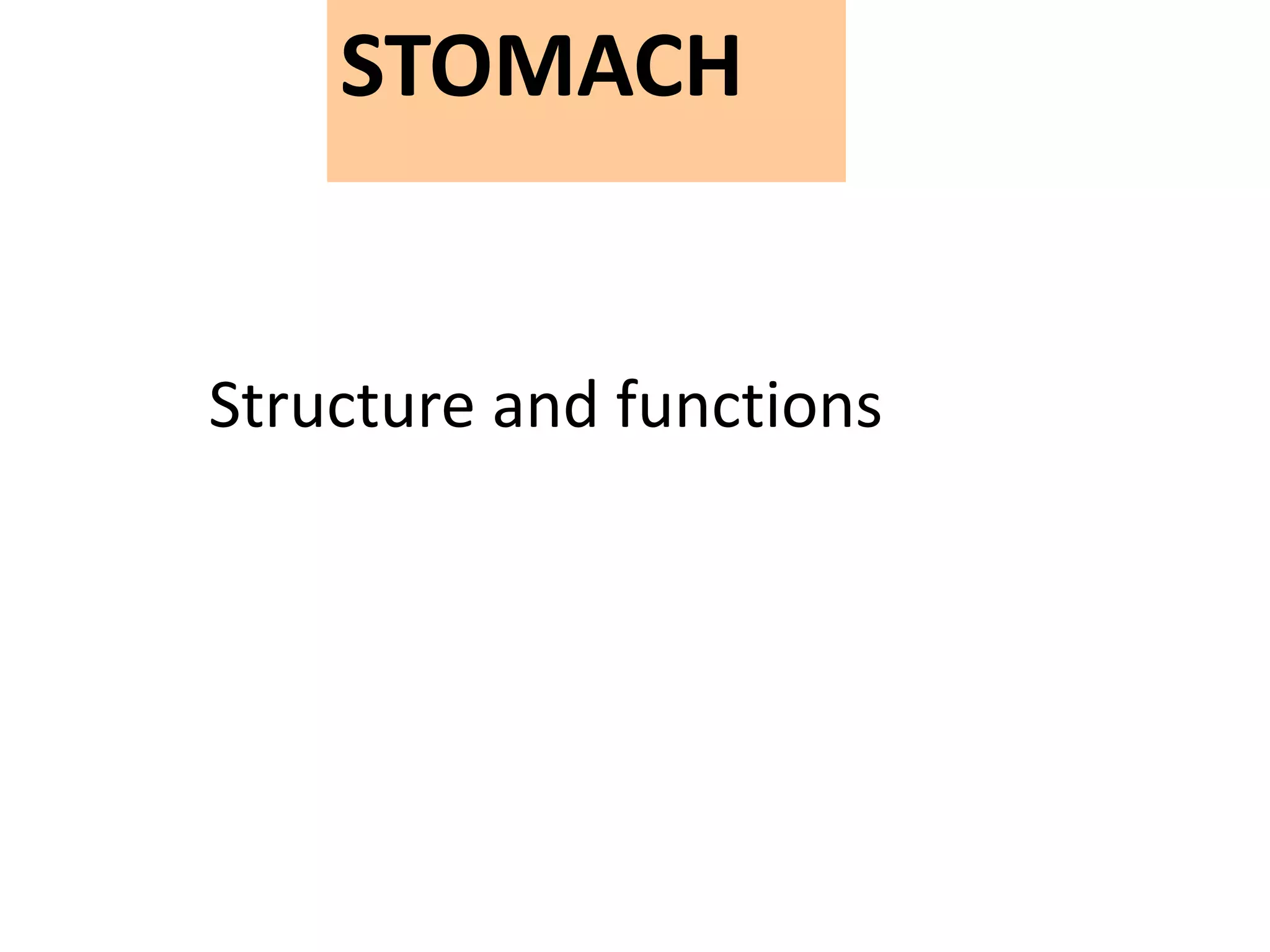 STOMACH
Structure and functions
 