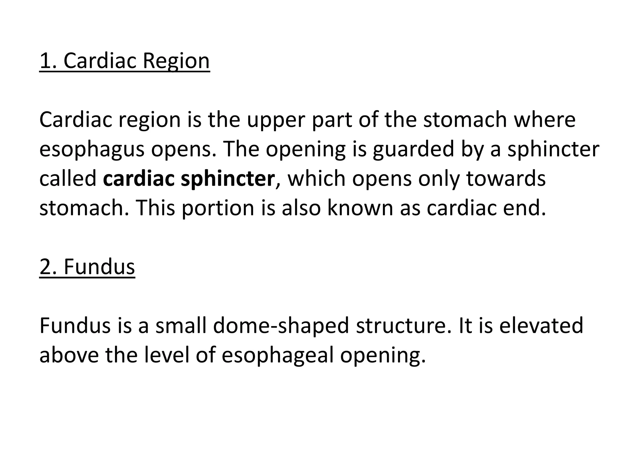 1. Cardiac Region
Cardiac region is the upper part of the stomach where
esophagus opens. The opening is guarded by a sphincter
called cardiac sphincter, which opens only towards
stomach. This portion is also known as cardiac end.
2. Fundus
Fundus is a small dome-shaped structure. It is elevated
above the level of esophageal opening.
 