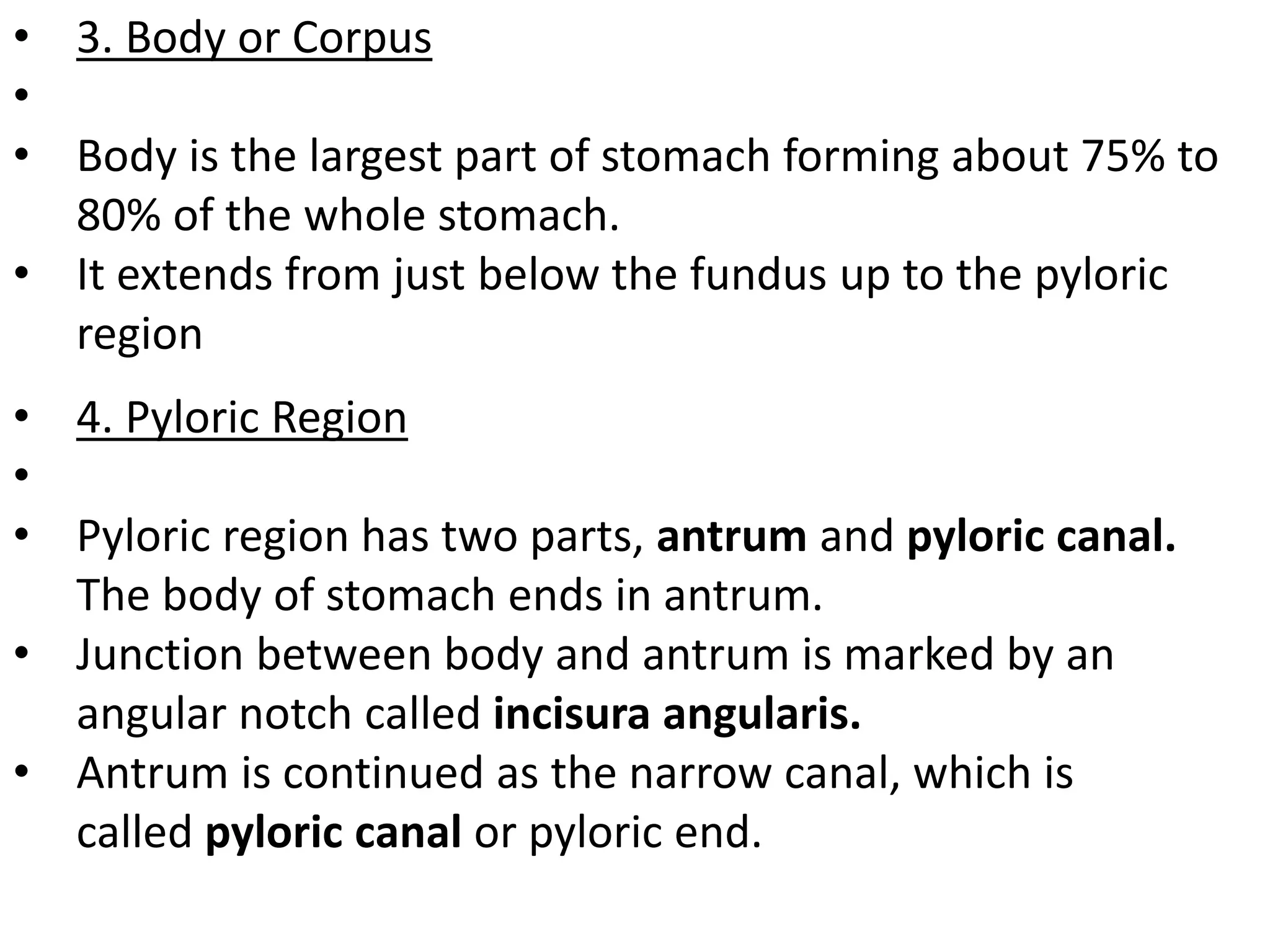 • 3. Body or Corpus
•
• Body is the largest part of stomach forming about 75% to
80% of the whole stomach.
• It extends from just below the fundus up to the pyloric
region
• 4. Pyloric Region
•
• Pyloric region has two parts, antrum and pyloric canal.
The body of stomach ends in antrum.
• Junction between body and antrum is marked by an
angular notch called incisura angularis.
• Antrum is continued as the narrow canal, which is
called pyloric canal or pyloric end.
 