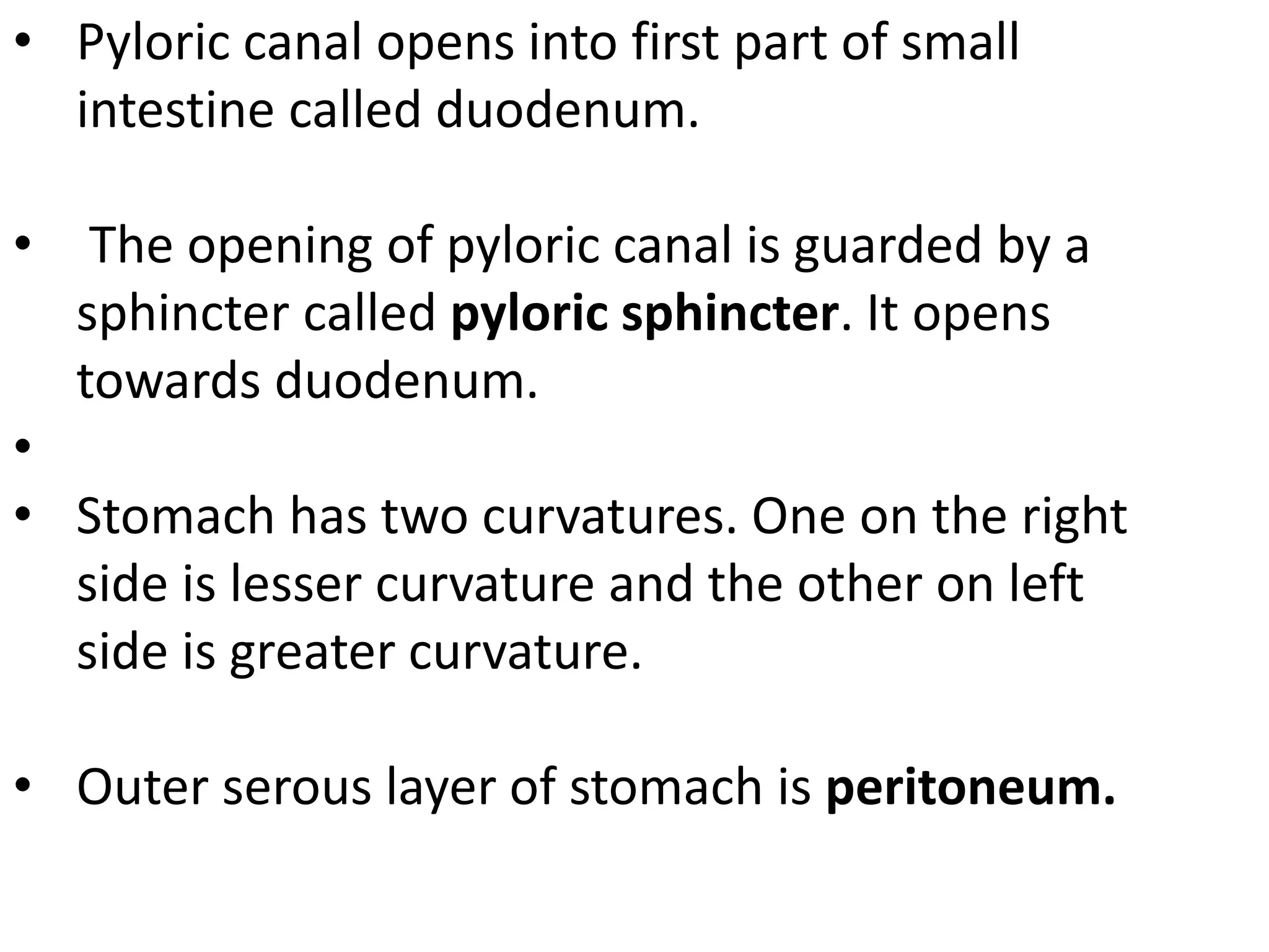 • Pyloric canal opens into first part of small
intestine called duodenum.
• The opening of pyloric canal is guarded by a
sphincter called pyloric sphincter. It opens
towards duodenum.
•
• Stomach has two curvatures. One on the right
side is lesser curvature and the other on left
side is greater curvature.
• Outer serous layer of stomach is peritoneum.
 