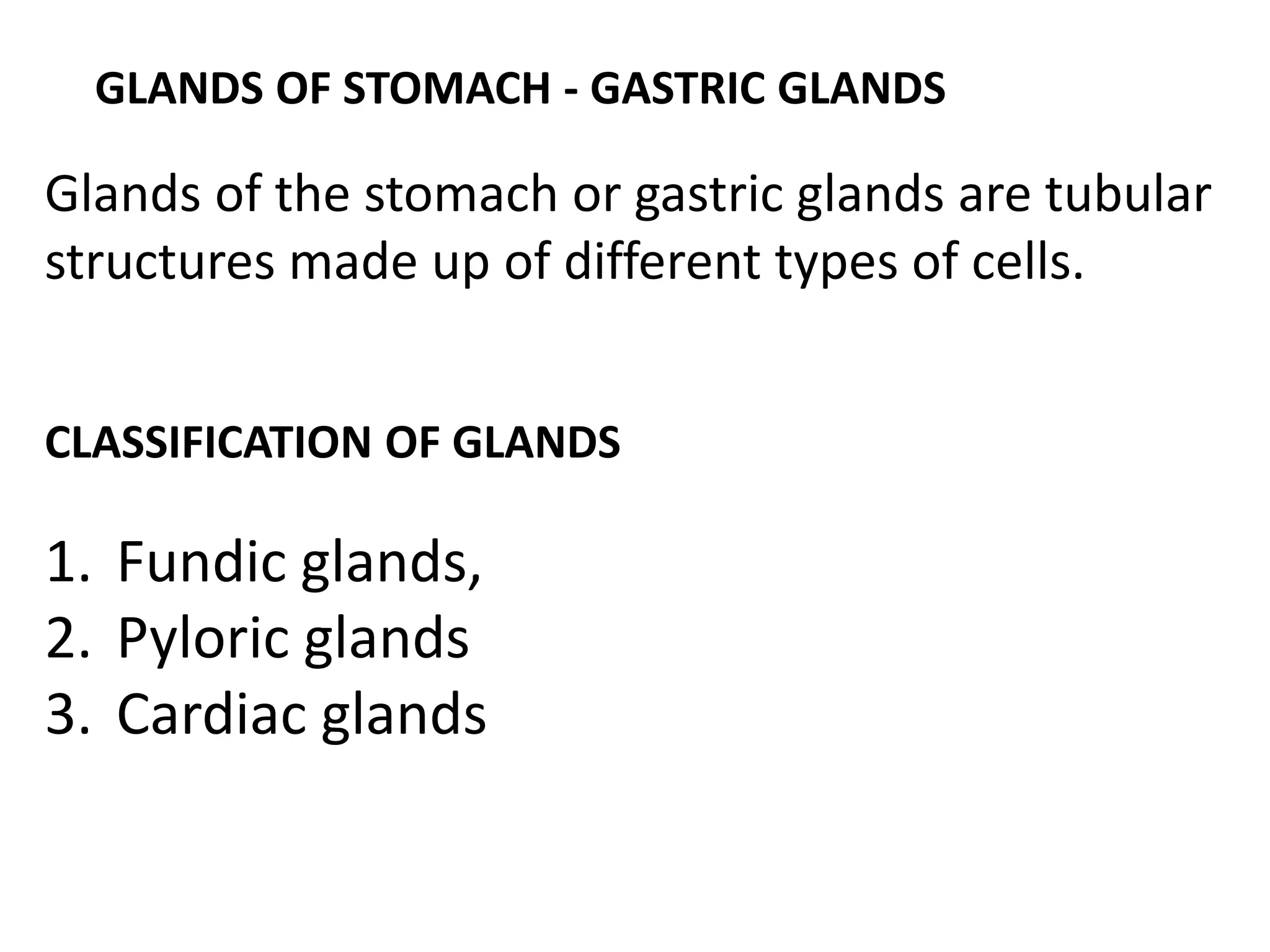 GLANDS OF STOMACH - GASTRIC GLANDS
Glands of the stomach or gastric glands are tubular
structures made up of different types of cells.
CLASSIFICATION OF GLANDS
1. Fundic glands,
2. Pyloric glands
3. Cardiac glands
 