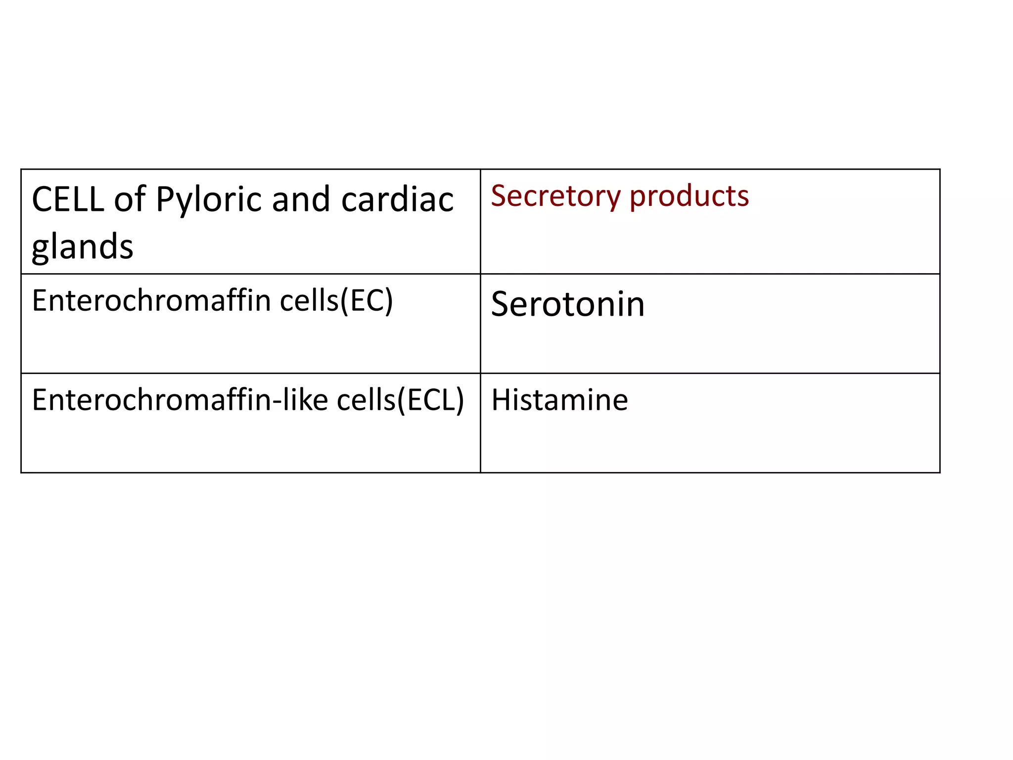 CELL of Pyloric and cardiac
glands
Secretory products
Enterochromaffin cells(EC) Serotonin
Enterochromaffin-like cells(ECL) Histamine
 