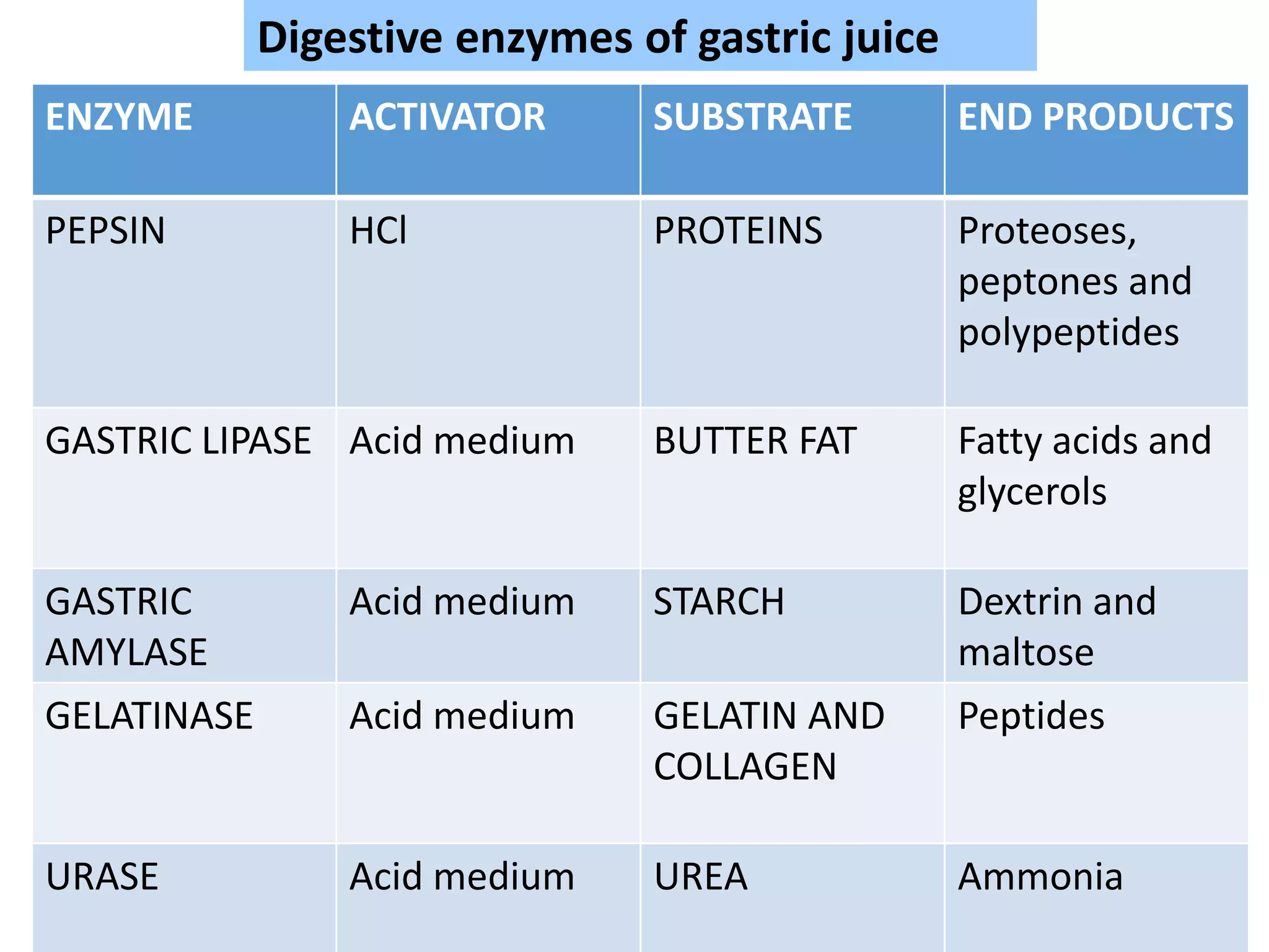 ENZYME ACTIVATOR SUBSTRATE END PRODUCTS
PEPSIN HCl PROTEINS Proteoses,
peptones and
polypeptides
GASTRIC LIPASE Acid medium BUTTER FAT Fatty acids and
glycerols
GASTRIC
AMYLASE
Acid medium STARCH Dextrin and
maltose
GELATINASE Acid medium GELATIN AND
COLLAGEN
Peptides
URASE Acid medium UREA Ammonia
Digestive enzymes of gastric juice
 