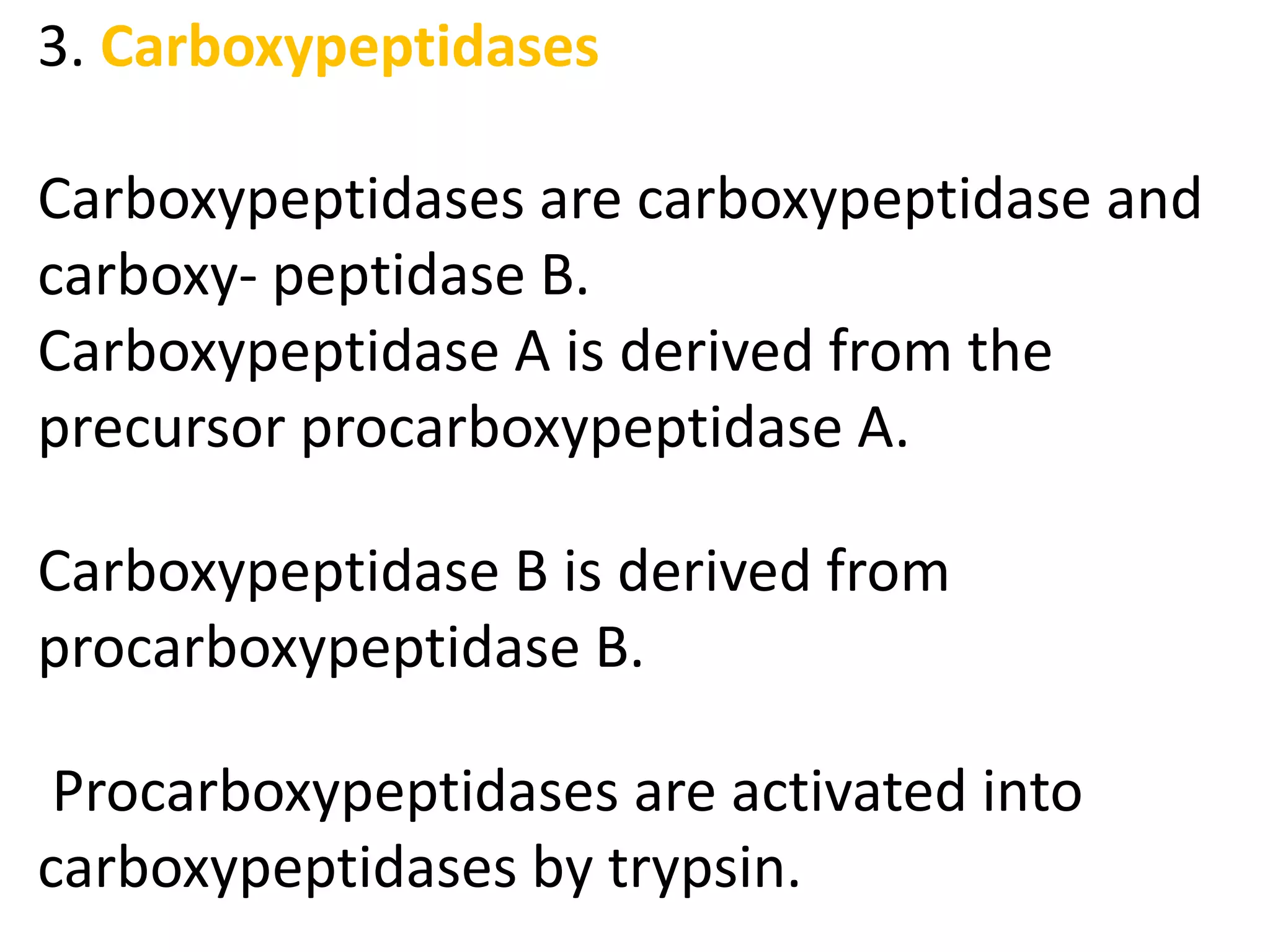 3. Carboxypeptidases
Carboxypeptidases are carboxypeptidase and
carboxy- peptidase B.
Carboxypeptidase A is derived from the
precursor procarboxypeptidase A.
Carboxypeptidase B is derived from
procarboxypeptidase B.
Procarboxypeptidases are activated into
carboxypeptidases by trypsin.
 