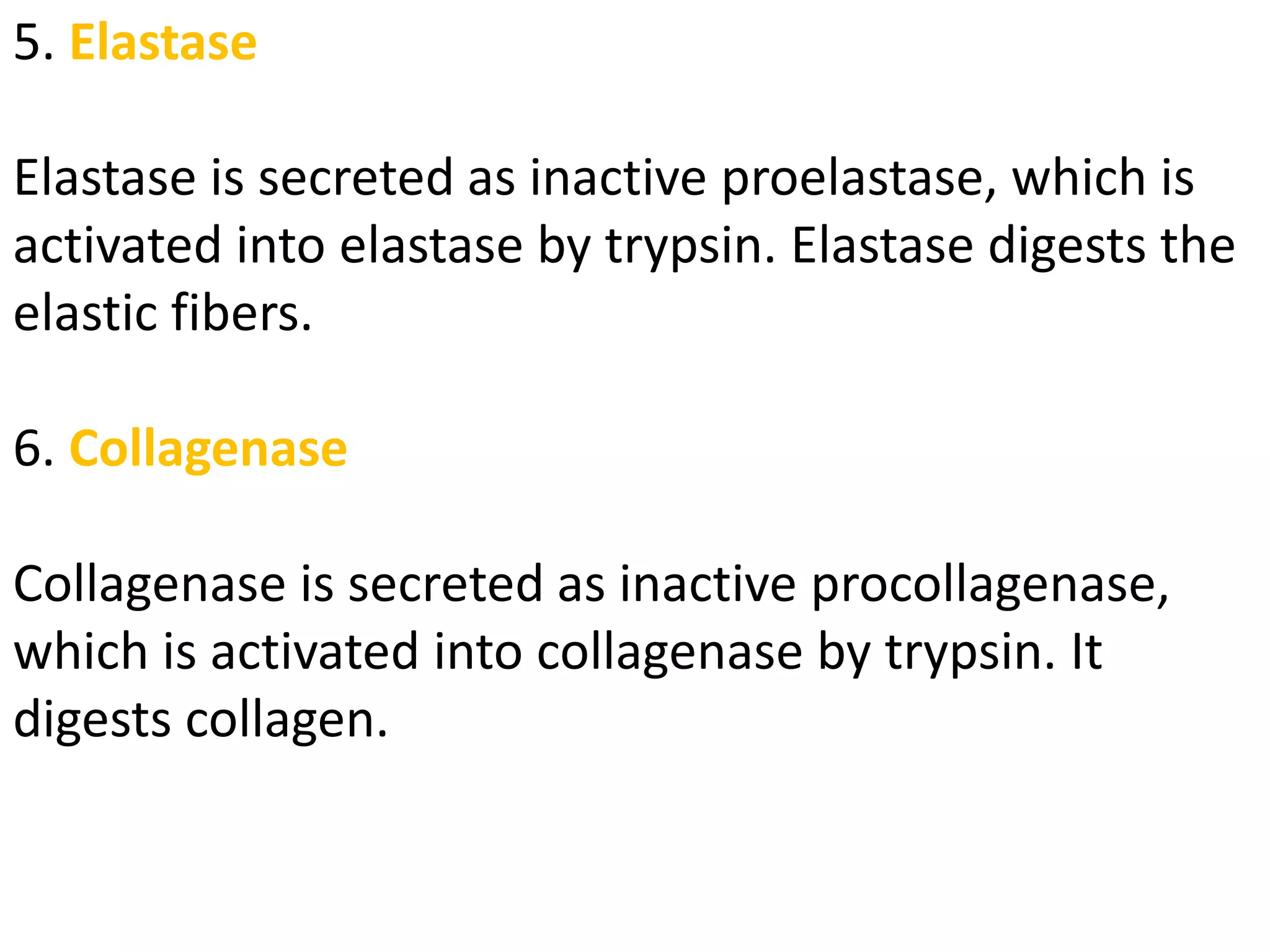 5. Elastase
Elastase is secreted as inactive proelastase, which is
activated into elastase by trypsin. Elastase digests the
elastic fibers.
6. Collagenase
Collagenase is secreted as inactive procollagenase,
which is activated into collagenase by trypsin. It
digests collagen.
 