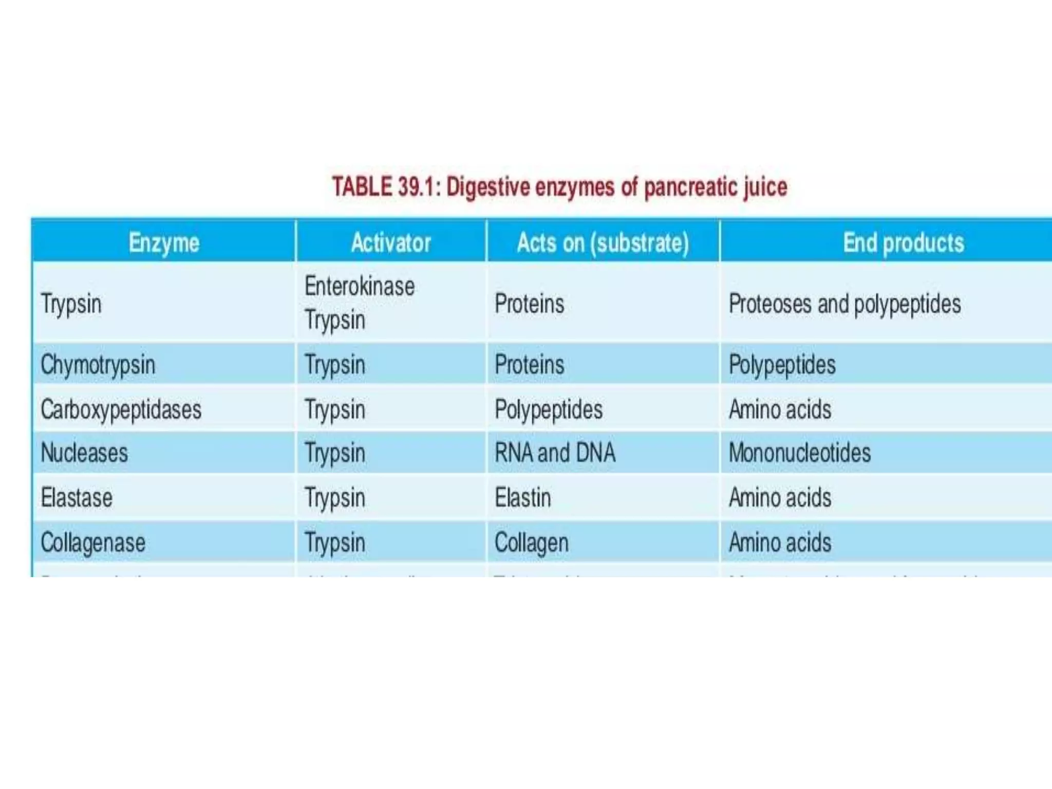 DIGESTIVE SYSTEM -PHYSIOLOGY 