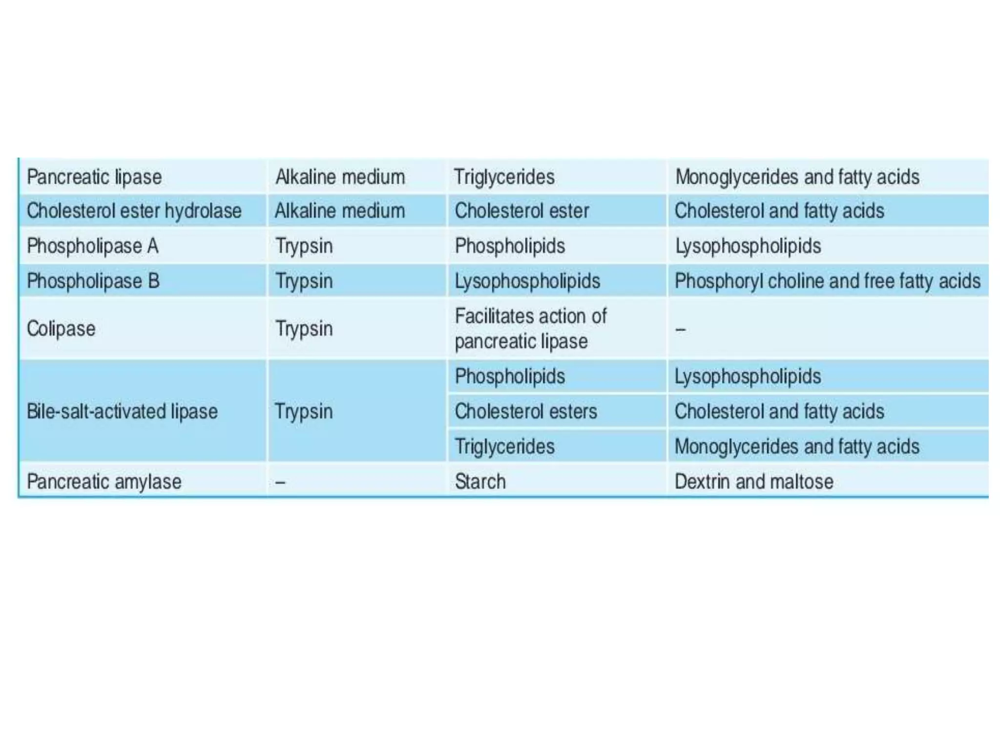 DIGESTIVE SYSTEM -PHYSIOLOGY 