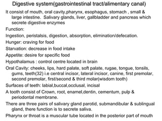 Digestive system(gastrointestinal tract/alimentary canal) ,[object Object],[object Object],[object Object],[object Object],[object Object],[object Object],[object Object],[object Object],[object Object],[object Object],[object Object],[object Object]