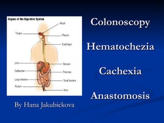 Colonoscopy

                      Hematochezia

                        Cachexia

                      Anastomosis
By Hana Jakubickova
 