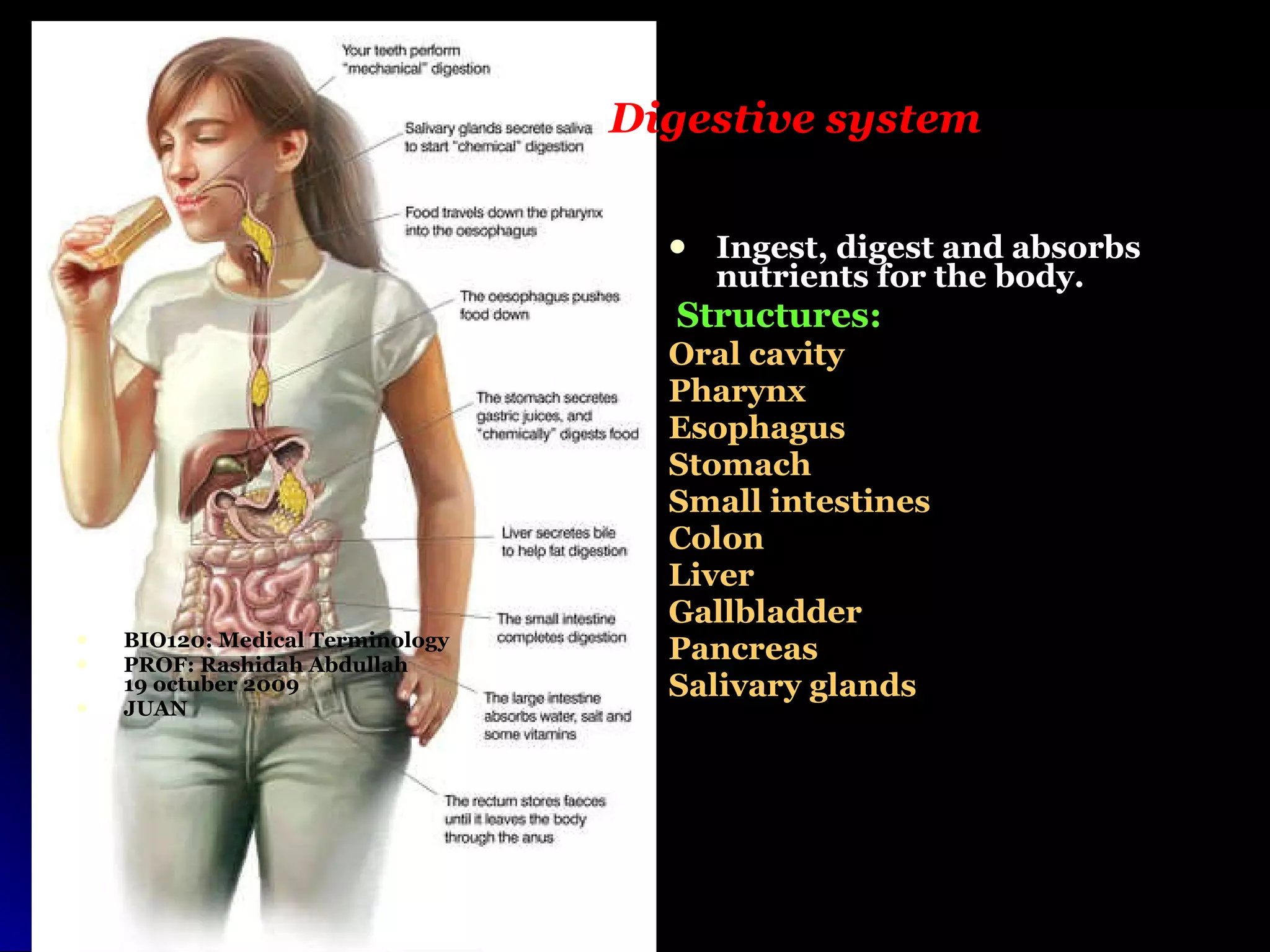 Digestive System | PPT