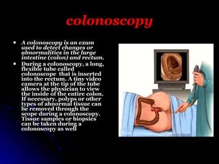 Digestive System | PPT