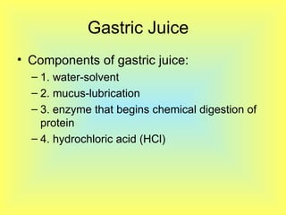 Gastric Juice  Components of gastric juice: 1. water-solvent 2. mucus-lubrication 3 .  enzyme that begins chemical digestion of protein 4. hydrochloric acid (HCl) 