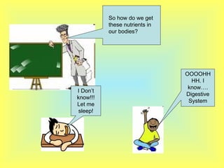 So how do we get these nutrients in  our bodies? I Don’t know!!! Let me sleep! OOOOHHHH. I know…. Digestive System 