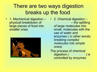 There are two ways digestion breaks up the food  1. Mechanical digestion – physical breakdown of large pieces of food into smaller ones 2. Chemical digestion –  hydrolysis  – the splitting of large molecules into small, molecules with the use of water and enzymes (  in other words; breaking complex molecules into simple ones)   The process of chemical digestion (  hydrolysis ) is controlled by enzymes 
