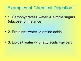 Examples of Chemical Digestion : 1. Carbohydrates+ water -> simple sugars (glucose for instance) 2. Proteins+ water -> amino acids 3. Lipids+ water -> 3 fatty acids +gylcerol 