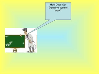 How Does Our Digestive system work? 