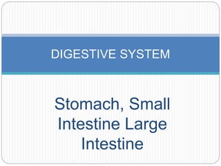 Stomach, Small
Intestine Large
Intestine
DIGESTIVE SYSTEM
 