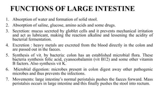 Stool Function Digestive system-1.pptx