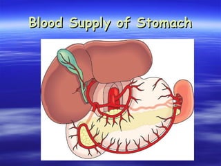 Blood Supply of Stomach
Blood Supply of Stomach
 