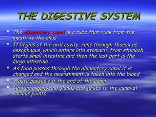 THE DIGESTIVE SYSTEM
THE DIGESTIVE SYSTEM
 The
The alimentary canal
alimentary canal is a tube that runs from the
is a tube that runs from the
mouth to the anus
mouth to the anus
 It begins at the oral cavity, runs through thorax as
It begins at the oral cavity, runs through thorax as
oesophagus, which enters into stomach, from stomach
oesophagus, which enters into stomach, from stomach
starts small intestine and then the last part is the
starts small intestine and then the last part is the
large intestine
large intestine
 As food passes through the alimentary canal it is
As food passes through the alimentary canal it is
changed and the nourishment is taken into the blood
changed and the nourishment is taken into the blood
 Waste passes out the end of the canal
Waste passes out the end of the canal
 Certain organs and glands add juices to the canal at
Certain organs and glands add juices to the canal at
various points
various points
 
