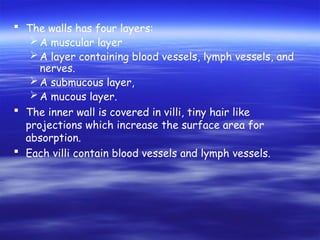  The walls has four layers:
A muscular layer
A layer containing blood vessels, lymph vessels, and
nerves.
A submucous layer,
A mucous layer.
 The inner wall is covered in villi, tiny hair like
projections which increase the surface area for
absorption.
 Each villi contain blood vessels and lymph vessels.
 