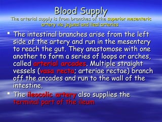  The intestinal branches arise from the left
The intestinal branches arise from the left
side of the artery and run in the mesentery
side of the artery and run in the mesentery
to reach the gut. They anastomose with one
to reach the gut. They anastomose with one
another to form a series of loops or arches,
another to form a series of loops or arches,
called
called arterial arcades
arterial arcades. Multiple straight
. Multiple straight
vessels (
vessels (vasa recta
vasa recta; arteriae rectae) branch
; arteriae rectae) branch
off the arcades and run to the wall of the
off the arcades and run to the wall of the
intestine.
intestine.
 The
The ileocolic artery
ileocolic artery also supplies the
also supplies the
terminal part of the ileum
terminal part of the ileum
Blood Supply
Blood Supply
The arterial supply is from branches of the
The arterial supply is from branches of the superior mesenteric
superior mesenteric
artery via jejunal and ileal arteries
artery via jejunal and ileal arteries
 