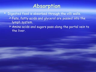 Absorption
 Digested food is absorbed through the villi walls.
Fats, fatty acids and glycerol are passed into the
lymph system.
Amino acids and sugars pass along the portal vein to
the liver.
 