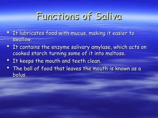 Functions of Saliva
Functions of Saliva
 It lubricates food with mucus, making it easier to
It lubricates food with mucus, making it easier to
swallow.
swallow.
 It contains the enzyme salivary amylase, which acts on
It contains the enzyme salivary amylase, which acts on
cooked starch turning some of it into maltose.
cooked starch turning some of it into maltose.
 It keeps the mouth and teeth clean.
It keeps the mouth and teeth clean.
 The ball of food that leaves the mouth is known as a
The ball of food that leaves the mouth is known as a
bolus.
bolus.
 