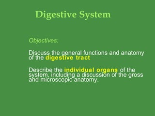 Digestive System Objectives: Discuss the general functions and anatomy of the  digestive tract Describe the  individual organs   of the system, including a discussion of the gross and microscopic anatomy. 