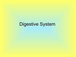 Digestive System  
