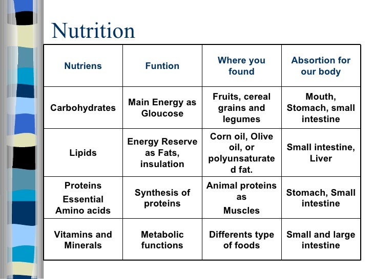 digestive system 6 major nutrients
