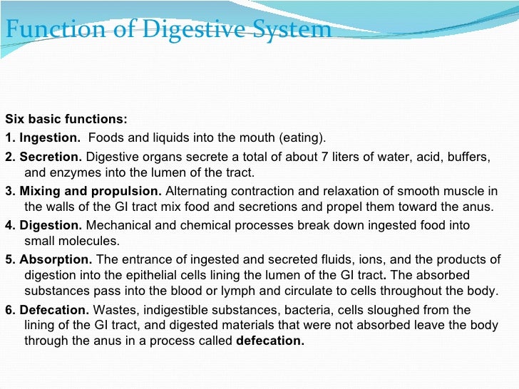 Digestive system