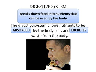 DIGESTIVE SYSTEM
The digestive system allows nutrients to be
_______ by the body cells and ______
waste from the body.
Breaks down food into nutrients that
can be used by the body.
ABSORBED EXCRETES
 