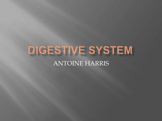 Digestive System ANTOINE HARRIS 