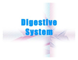 Digestive System 