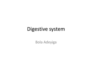 Digestive system Bola Adeyiga 
