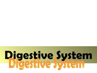 Digestive System Digestive System 