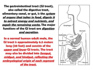 The  gastrointestinal tract  ( GI tract ), also called the  digestive tract ,  alimentary canal , or  gut , is the  system of organs that takes in food, digests it to extract energy and nutrients, and expels the remaining waste.  The major functions of the GI tract are  digestion and excretion . In a normal human adult male, the GI tract is approximately 6.5 meters long (20 feet) and consists of the  upper and lower  GI tracts. The tract may also be divided into  foregut, midgut, and hindgut, reflecting the embryological origin of each segment of the tract. 