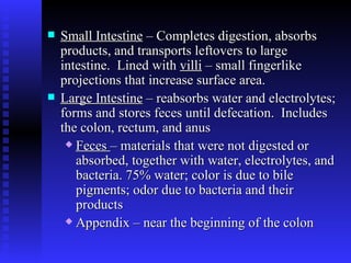 Small Intestine  – Completes digestion, absorbs products, and transports leftovers to large intestine.  Lined with  villi  – small fingerlike projections that increase surface area.   Large Intestine  – reabsorbs water and electrolytes; forms and stores feces until defecation.  Includes the colon, rectum, and anus   Feces  – materials that were not digested or absorbed, together with water, electrolytes, and bacteria. 75% water; color is due to bile pigments; odor due to bacteria and their products   Appendix – near the beginning of the colon 