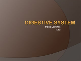 Marie Domingo 8-17 Digestive System 
